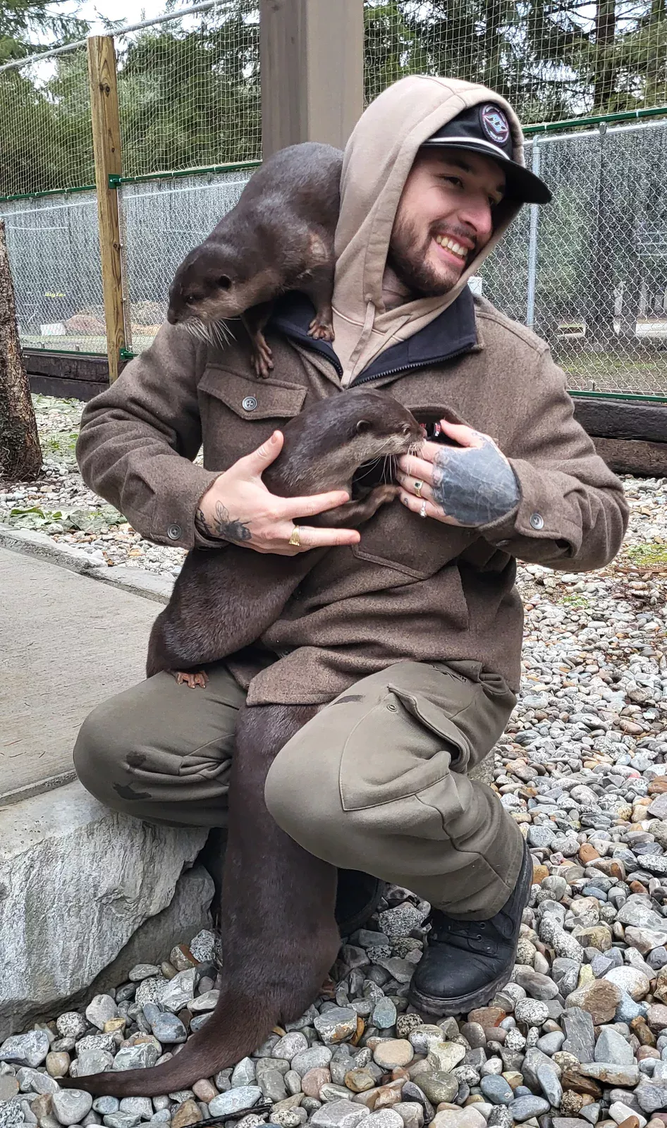 Otter photo 7
