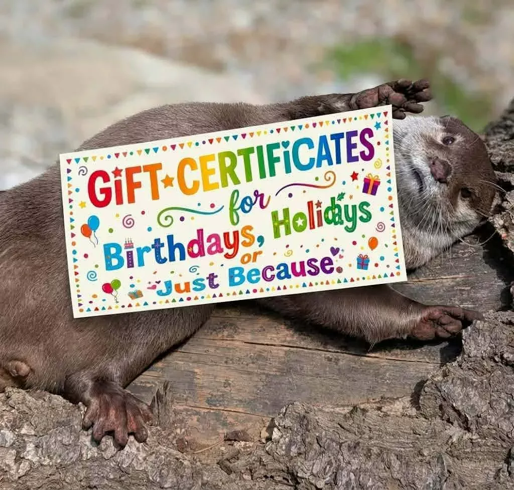 Ottertopia Gift Certificate