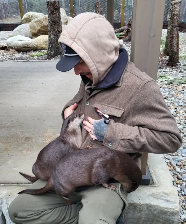 Otter Encounter (30 Minutes)